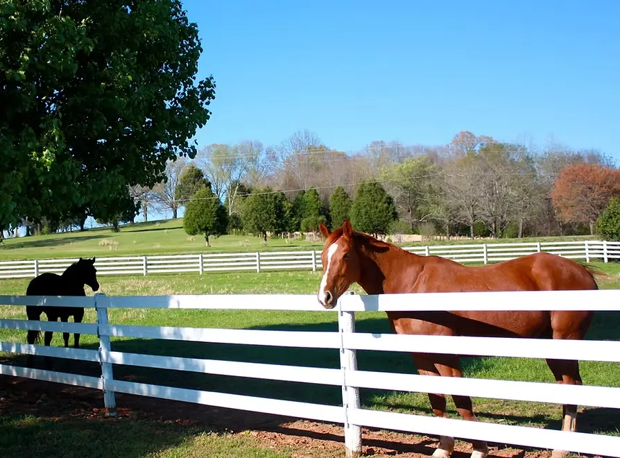 Post and rail fence